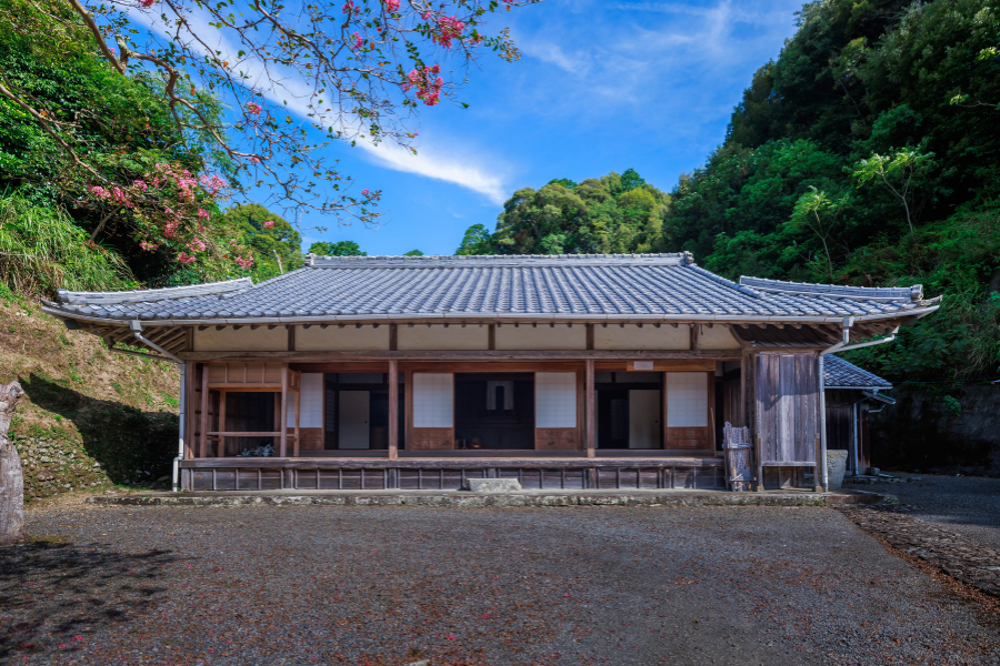 PlanetDAO Featured in Asahi Shimbun