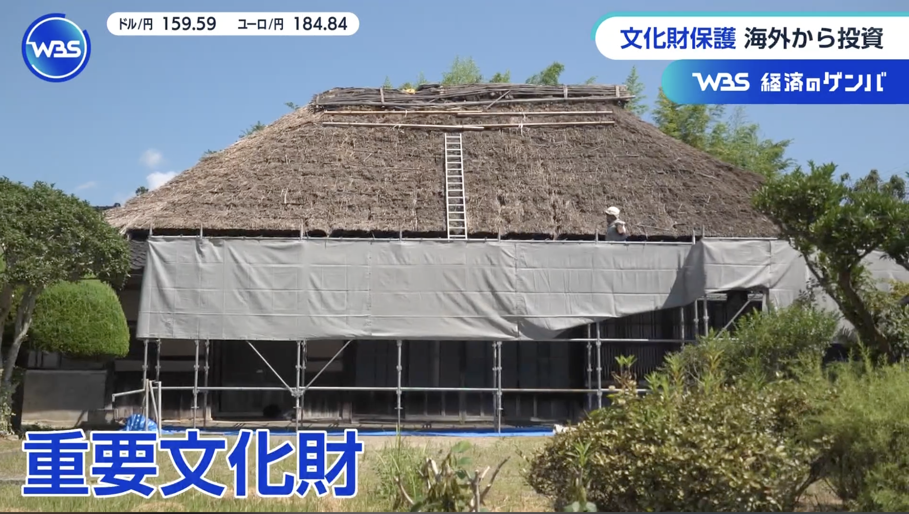 PlanetDAO Featured on TV Tokyo's "WBS"